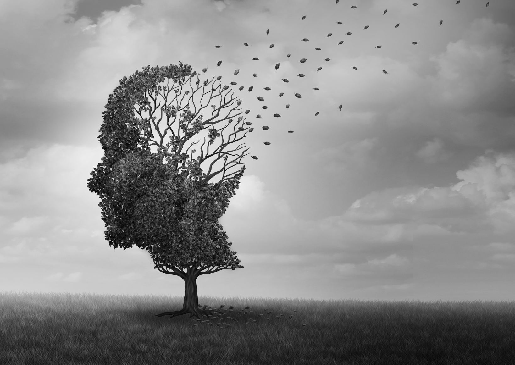 brain-cloud-flutter-new